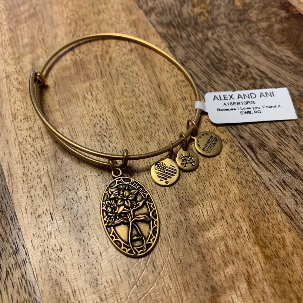 NWT Alex and Ani Friend Bracelet